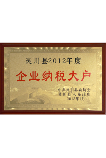 2012年度企業(yè)納稅大戶(hù)