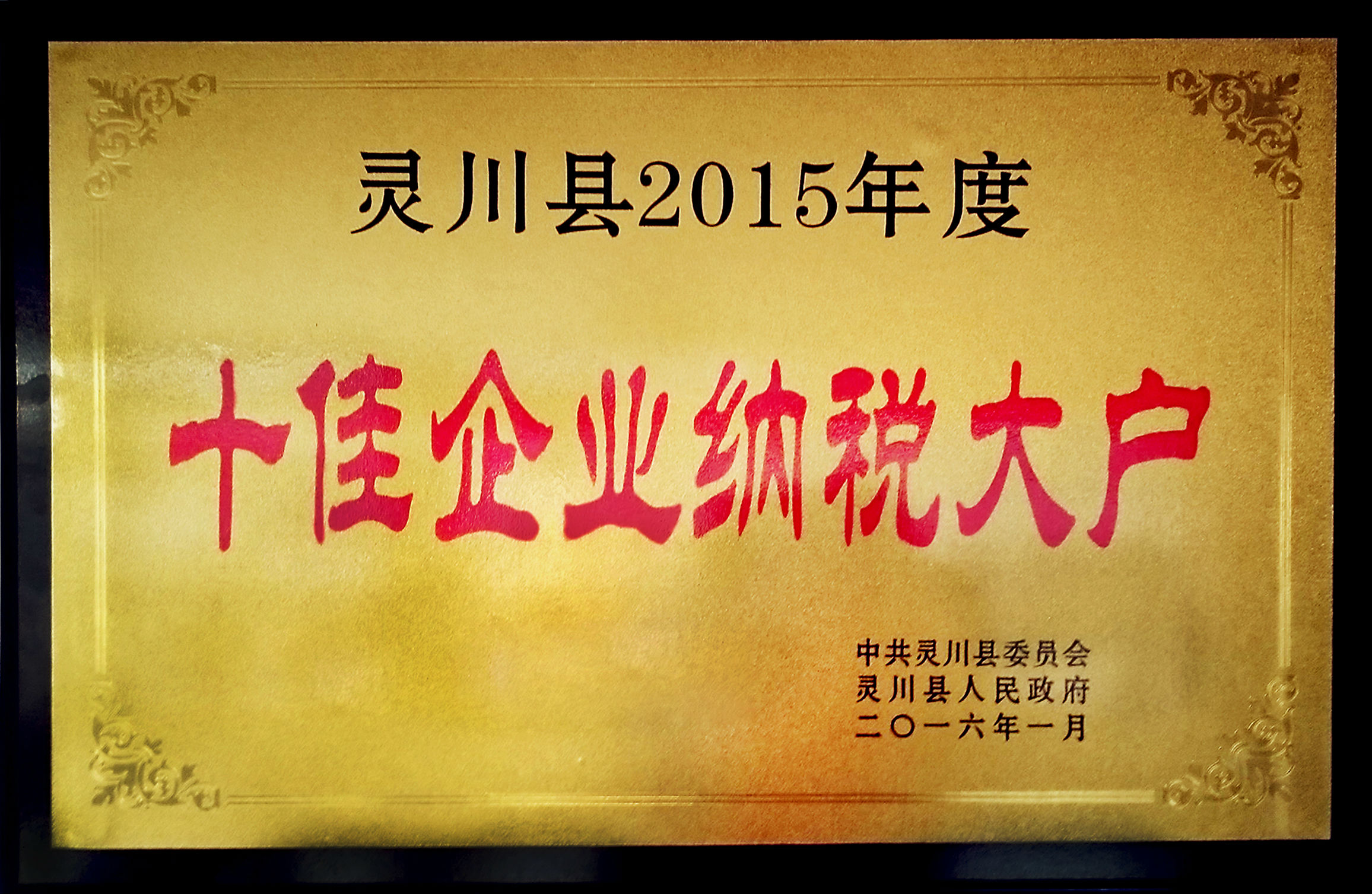 2015年度十佳企業納稅大戶