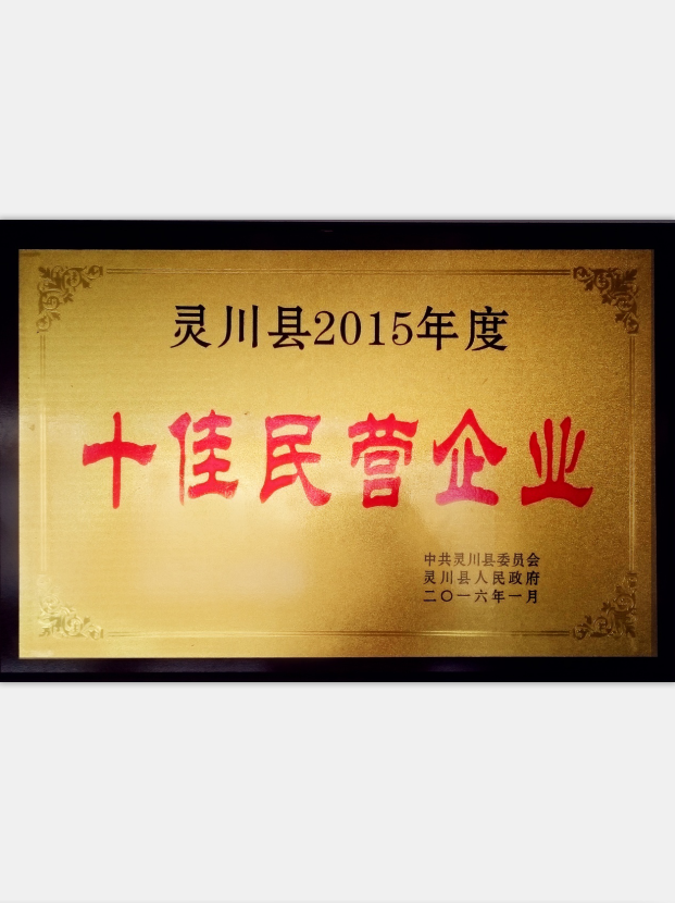 2015年度十佳民營企業