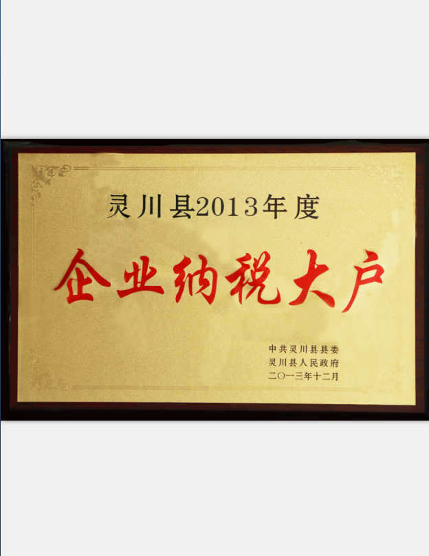 2013年度企業納稅大戶