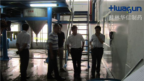 桂林市領導到桂林華信制藥有限公司調研