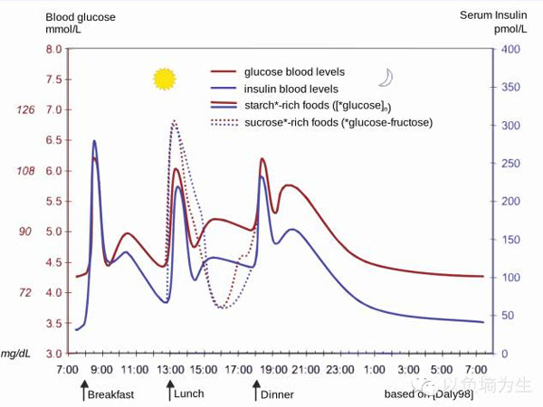 一天當中正常的血糖波動曲線