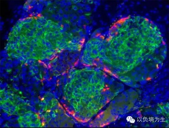 米爾頓實驗室2014年的突破性進展